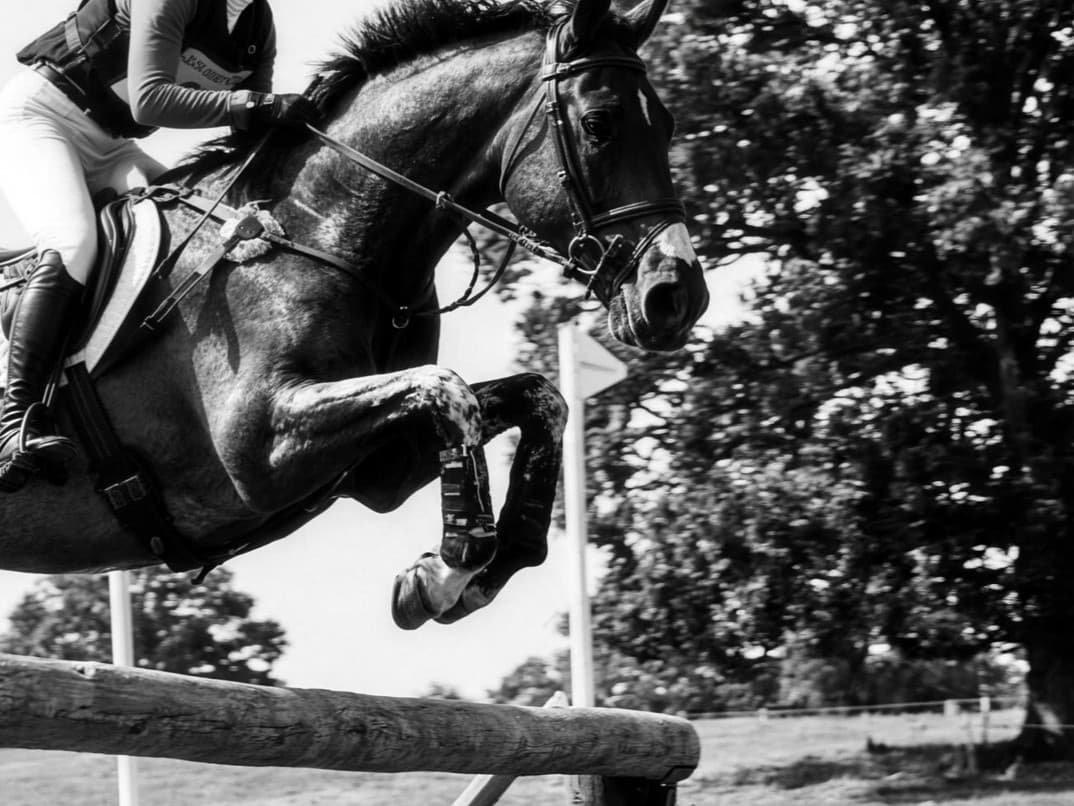Cross-country jump, showing the athletic performance behind the brand